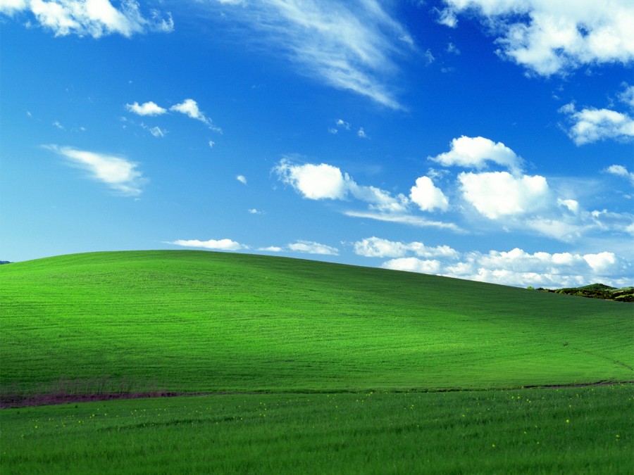Windows 1.jpg
